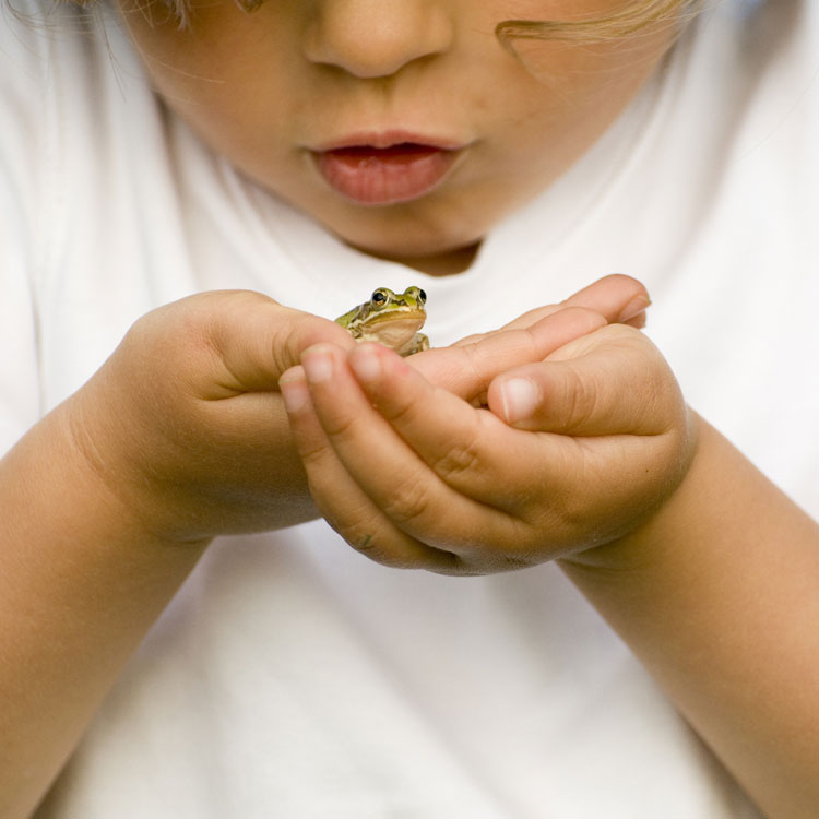 child holding a frog
